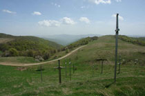 Kvemo Kartli