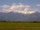 caucasus